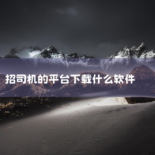 抢单平台司机端的下载方式因平台而异，以下为您详细介绍：一、常见网约车平台1. 滴滴司机：您可以访问滴滴官方网站，在网站底部找到司机招募板块，按照提示选择您所在的地区和车型，然后扫描专属二维码进行下载。,